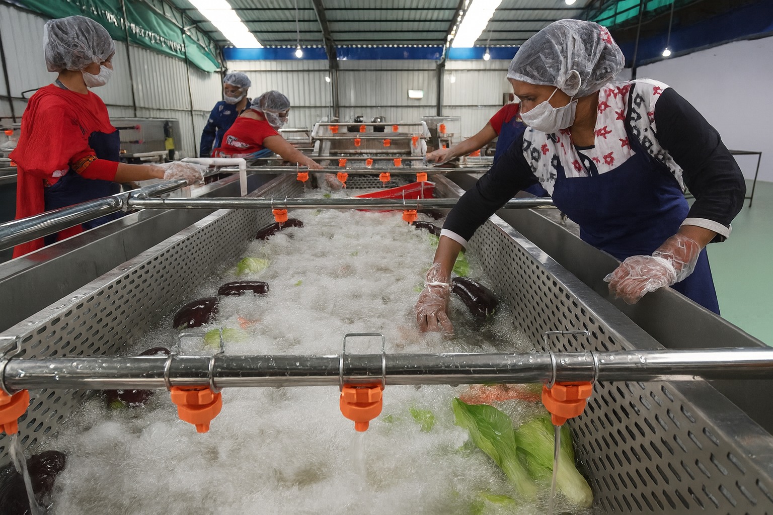 Ozanization process. Photo (1).jpeg